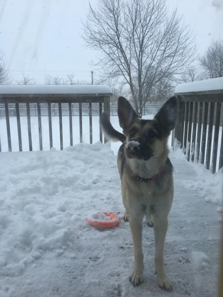Frisbee anyone?